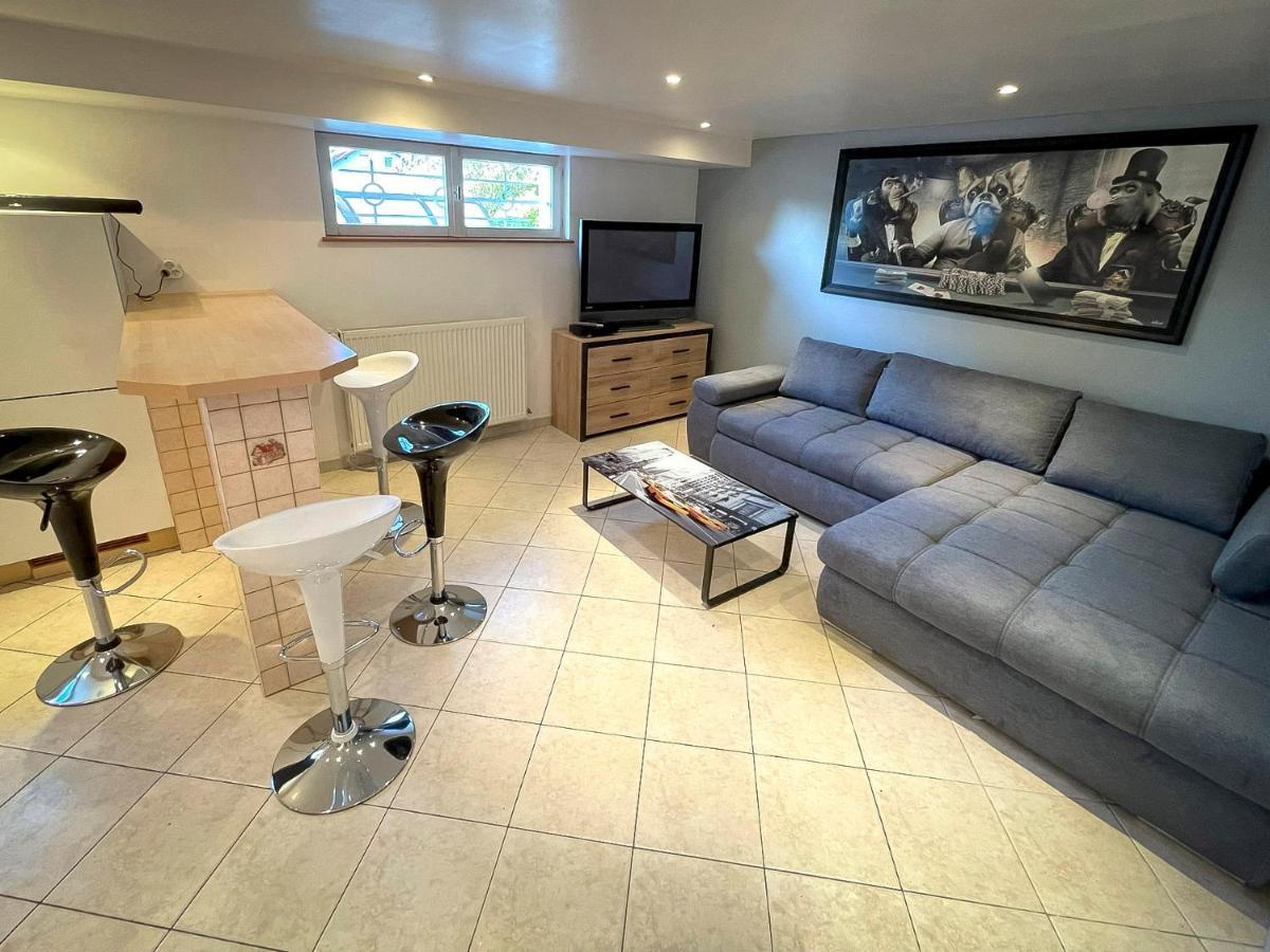 Villa 250M2 Avec Piscine Chauffee & Spa & Kota-Grill & Sauna Saint-Die-des-Vosges Zewnętrze zdjęcie